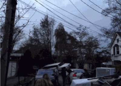 Why is my limo in that tree?